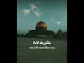 Download Lagu Baraa Masoud Nasheed#Palestine #youtubeshorts #shortvideo #youtube #shorts #short  #ytshort #ytviral
