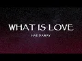 Download Lagu Haddaway - What Is Love (Lyrics)