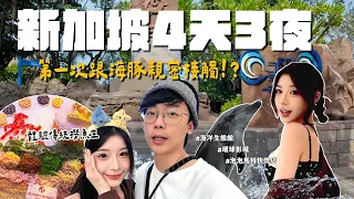 新加坡4天3夜，撈魚生與海豚親密接觸初體驗｜酷炫老師.生活VLOG