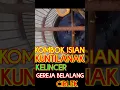 Download Lagu kombok gacor full isian #kuntilanak #gerejagacor #belalang #ciblek #burunggacor #burungjuara