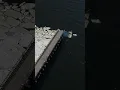N J fishing pier collapses into Raritan Bay due to ice