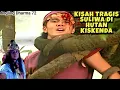 Download Lagu Angling Dharma Episode 72: Kejadian Tragis Suliwa Dililit Pohon Hidup - Kisah Penuh Drama