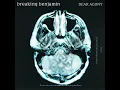 I Will Not Bow - Breaking Benjamin