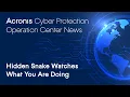 Hidden Snake Watches What You Are Doing Cyber Protection Operation Center News