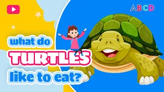 TURTLES What do animals eat Educational stories for children from Mary