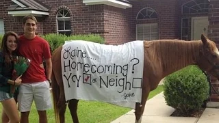 The Cutest Promposals That Will Melt Your Heart