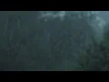 Sabr Alptekin - Regen