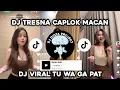Download Lagu DJ TRESNA CAPLOK MACAN - DJ VIRAL TU WA GA PAT TERBARU DI TIKTOK