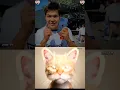 Download Lagu give this video funny memes 🤡 #catmemes #dance