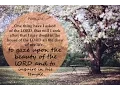 Jesus Calling November 7th