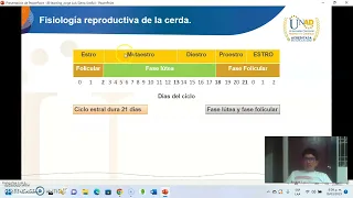 Protocolo de sincronización de celo en cerdas