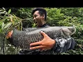 Download Lagu Khủng Khiếp Con Cá Quá Lớn Bị Hạ Gục Bằng Loại Bẫy Này ￼// A Very Large Fish Trap in the Rainforest