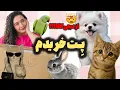 Lagu آنباکس خریدای پِتم🐾از دیجی کالا چه پتی خریدم؟🐶ولاگ روزمره