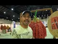 Dates Festival Sharjah | Al Dhaid | Free Entry | UAE