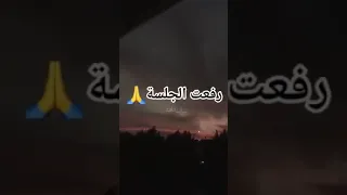 رفعت الجلسة       دندنها