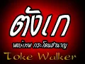 ตังเก - พงษ์เทพ กระโดนชำนาญ (Audio)