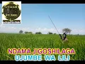 Download Lagu NDAMA JIGOSHILAGA UJUMBE WA LILI BY LWENGE STUDIO
