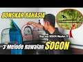 Download Lagu Kalau tau dari dulu SOGON Habis di serbu pembeli‼️