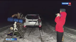 Первый в этом году звездопад смогут сегодня ночью наблюдать жители Омска