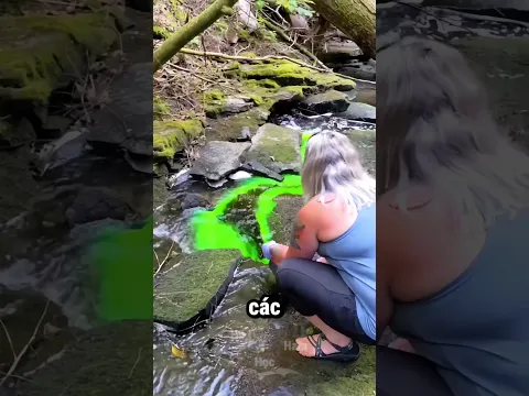 Tưởng Tội Ác Sinh Thái, Ai Ngờ Là Để Làm Điều Này...😳