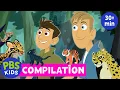 Wild Kratts The Best Wild Cat Adventures from the Wild Kratts Compilation PBS KIDS