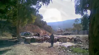 اغنية رجال الحماده جميلة ورائعة 