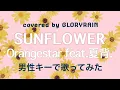 Download Lagu 【男性キー＋5】SUNFLOWER / Orangestar feat.夏背.を歌ってみた
