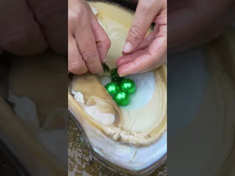 Giant clams, collecting precious pearls