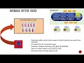 Section - 3 Database Buffer Cache