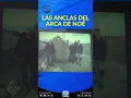 Download Lagu 19 - LAS ANCLAS DEL ARCA DE NOÉ😊#shorts