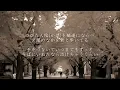 雪の華 - 中島美嘉（フル）