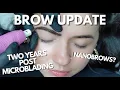 Microblading vs Tattoo Brows Nano Brows - YEAR 2 BROW UPDATE