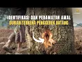Download Lagu Identifikasi dan Perawatan Awal Dari Serangan Penggeret Batang Durian