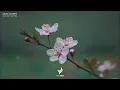 Kelsea Ballerini - How Do I Do This (Lyrics)