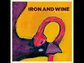Iron and Wine - Boy With A Coin