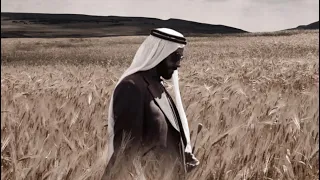 الفنانه ذك   رى   من نظرته   كلمات الشيخ زايد بن سلطان آل نهيان              دندنها