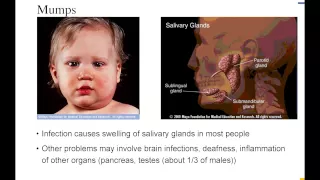 Vaccines Separating Myth from Reality - Paul Krogstad MD UCLA Women s Health Conference