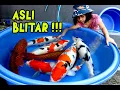 Download Lagu KOI BLITAR , KOI MUDAH DI KARANTINA !!! | 02-10-2025
