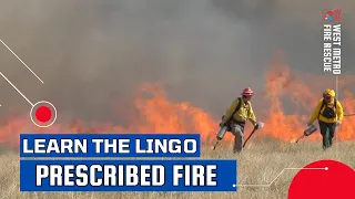 Learn the Lingo Prescribed Fire