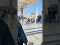 Download Lagu Ya Habibi Ya Muhammad ❤️🌹 #shorts