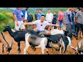 Download Lagu SAPA TV | CƯỜI KHÔNG NHẶT ĐƯỢC MỒM THI CHẶT THỊT LỢN CÓ MỘT KHÔNG HAI TẠI CHỢ PHIÊN CỐC LY