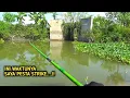 Download Lagu INI WAKTUNYA PESTA STRIKE!! TIAP MANCING NEMU SPOT BARU PASTI SARANG IKAN