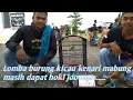 Download Lagu Lomba burung kicau kenari mabung masih dapat hoki