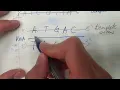 Transcription template vs coding strand