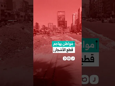 مواطن يهاجم إزالة الأشجار من شارع جامعة الدول: "إحنا أقل من الحيوانات؟"