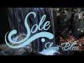 Luxury Reflexology Foot Spa Sole Reflextions in Katy TX 77494