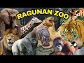 Download Lagu UPDATE TERBARU Kebun Binatang Ragunan Zoo 2025 | Harga Tiket, Hewan Hewan \u0026 Wahana Permainan