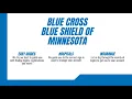 Blue Cross Blue Shield of Minnesota 2023