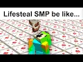 Lifesteal SMP Slander 3