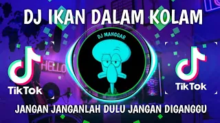dj ikan dalam kolam jangan jangan dulu janganlah diganggu viral tiktok 2023